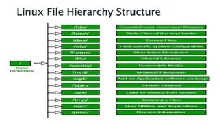 Linux File Hierarchy Structure
 