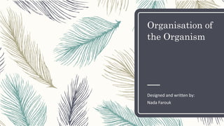 Organisation of
the Organism
Designed and written by:
Nada Farouk
 