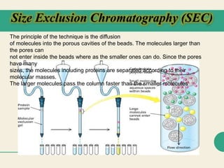Presentation1.pptx