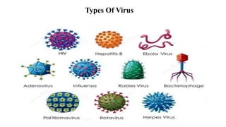 Types Of Virus
 