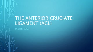 THE ANTERIOR CRUCIATE
LIGAMENT (ACL)
BY LIBBY ELIAS
 