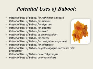 Article on Babool | PDF