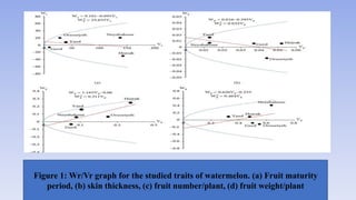 Watermelon Variance Presentation (1).pptx