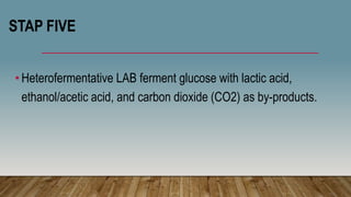 STAP FIVE
•Heterofermentative LAB ferment glucose with lactic acid,
ethanol/acetic acid, and carbon dioxide (CO2) as by-products.
 