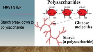 FIRST STEP
Starch break down to
polysaccharide
 