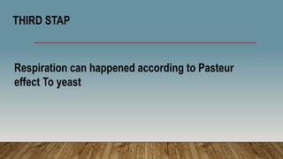 Respiration can happened according to Pasteur
effect To yeast
THIRD STAP
 