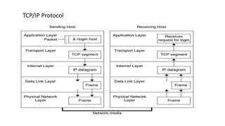 TCP/IP Protocol
 