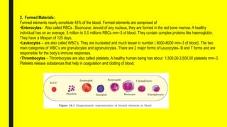 Prect Body Class 11 project biology prect topic body fluid and circulation | PPTX