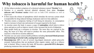 lying about tobacco use health insurance The Life Insurance Industry's Long, Strange Silence about Smoking and  Cancer – The Center for the Study of Tobacco and Society