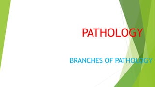 BRANCHES OF PATHOLOGY
PATHOLOGY
 