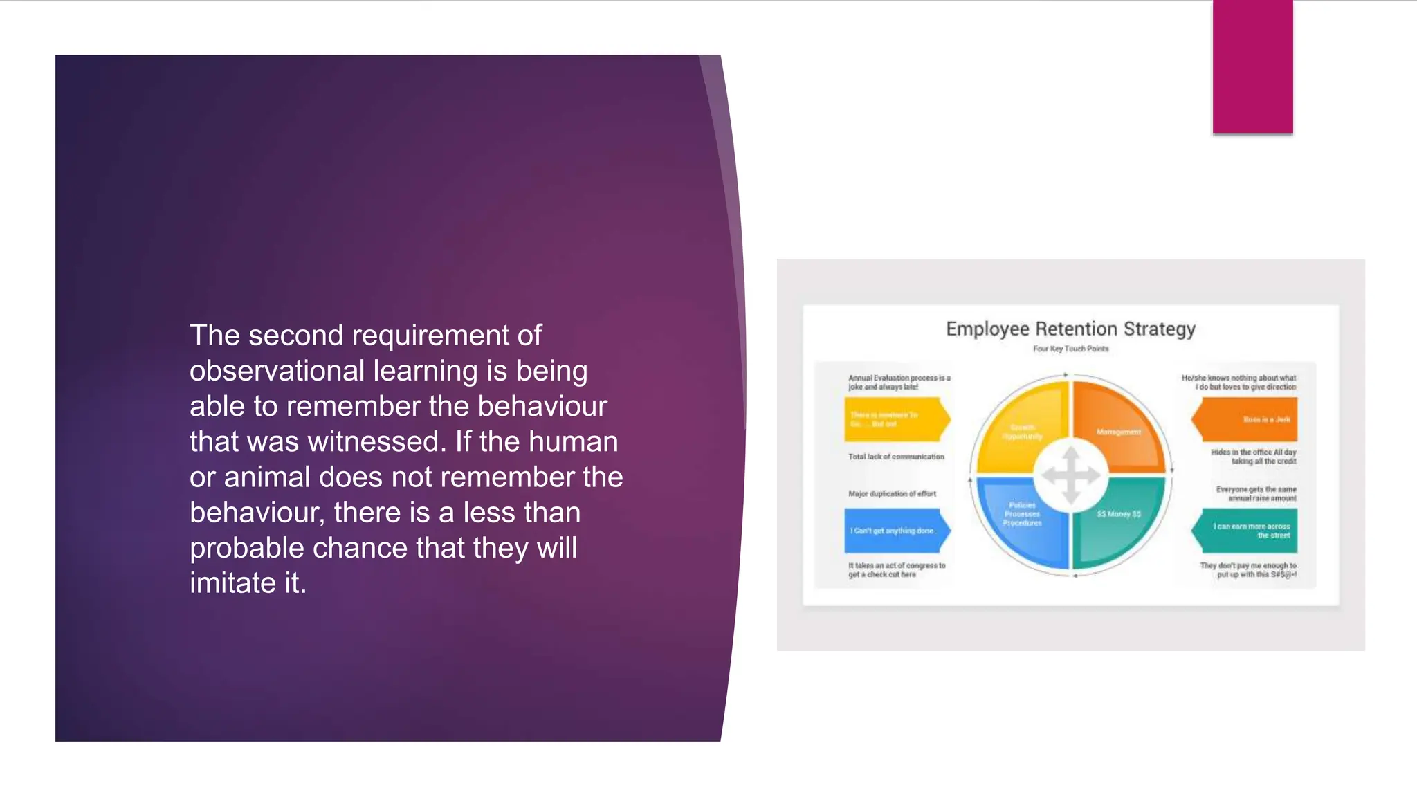 Observational Learning presentation.pptx