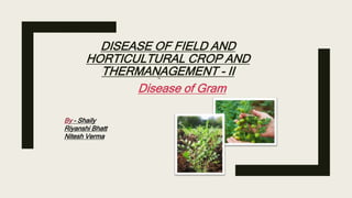 DISEASE OF FIELD AND
HORTICULTURAL CROP AND
THERMANAGEMENT - II
Disease of Gram
By – Shaily
Riyanshi Bhatt
Nitesh Verma
 