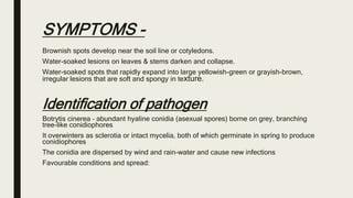 Gray Infection Presentation (1).pptx Disease of gram and it's | PPTX