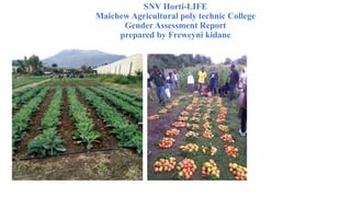 SNV Horti-LIFE
Maichew Agricultural poly technic College
Gender Assessment Report
prepared by Freweyni kidane
 