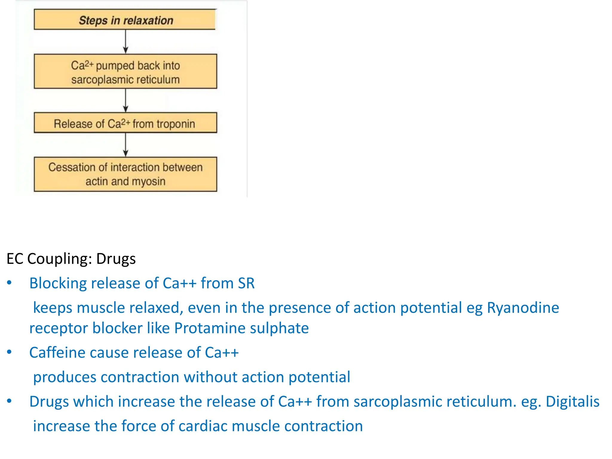 Presentation on cardiac system of human body | PPTX