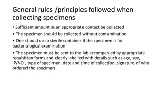 Presentation1.pptx gr specimen collection | PPTX