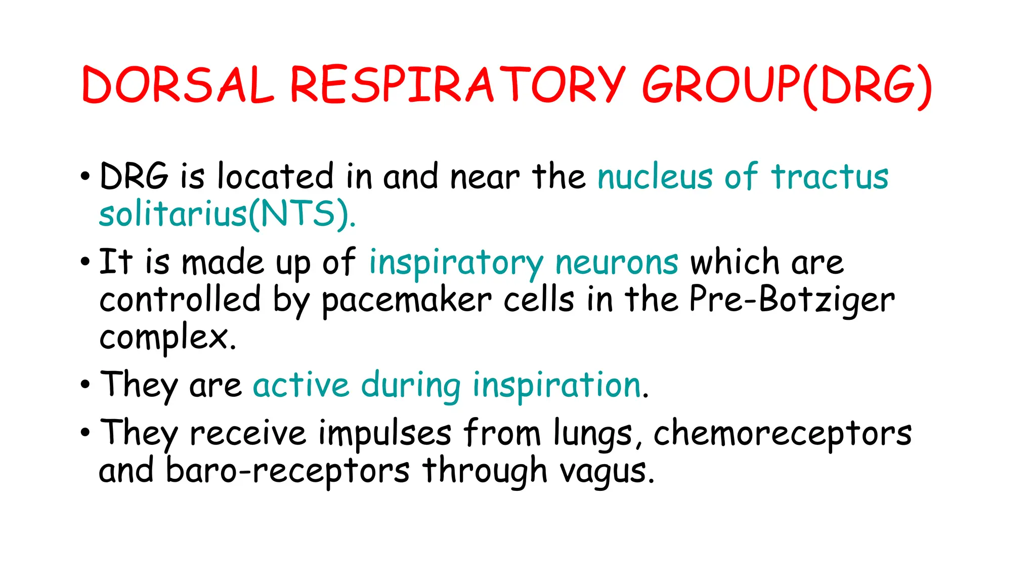 DORSAL RESPIRATORY GROUP(DRG)
• DRG is located in and near the nucleus of tractus
solitarius(NTS).
• It is made up of inspiratory neurons which are
controlled by pacemaker cells in the Pre-Botziger
complex.
• They are active during inspiration.
• They receive impulses from lungs, chemoreceptors
and baro-receptors through vagus.
 