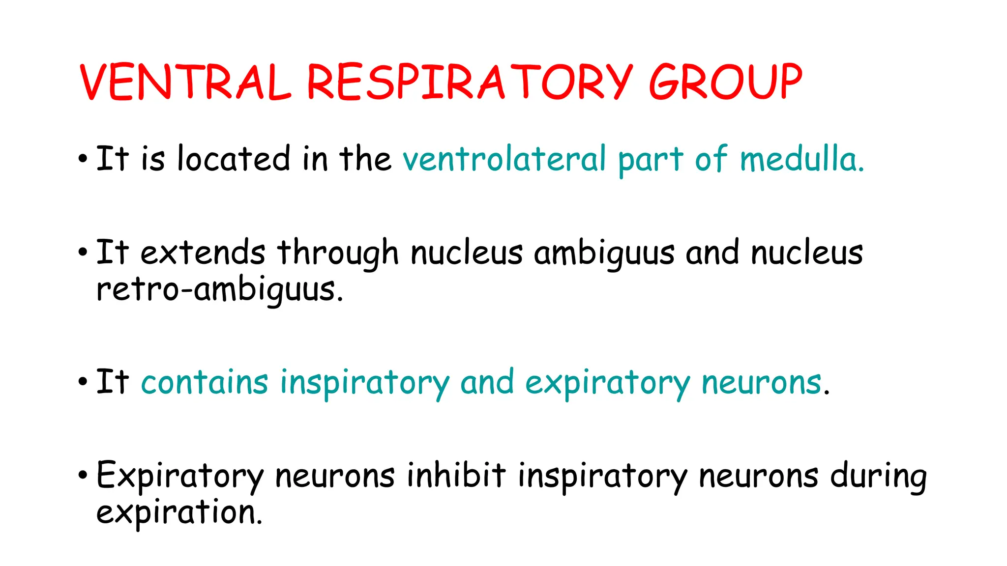VENTRAL RESPIRATORY GROUP
• It is located in the ventrolateral part of medulla.
• It extends through nucleus ambiguus and nucleus
retro-ambiguus.
• It contains inspiratory and expiratory neurons.
• Expiratory neurons inhibit inspiratory neurons during
expiration.
 