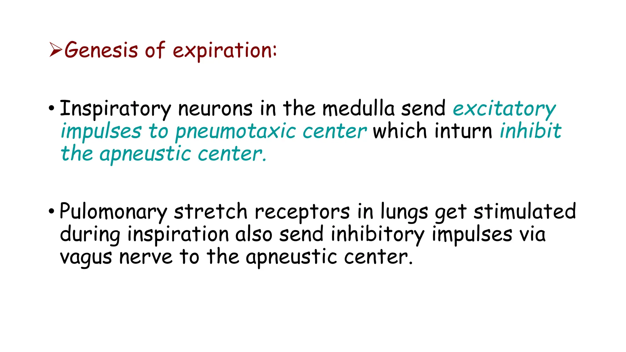 Genesis of expiration:
• Inspiratory neurons in the medulla send excitatory
impulses to pneumotaxic center which inturn inhibit
the apneustic center.
• Pulomonary stretch receptors in lungs get stimulated
during inspiration also send inhibitory impulses via
vagus nerve to the apneustic center.
 