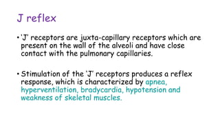 Presentation of respiration and reflex associated with it | PPTX