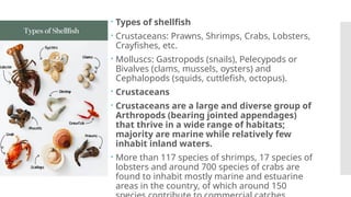 fish and fisheries pptx , identification of indian fish | PPTX