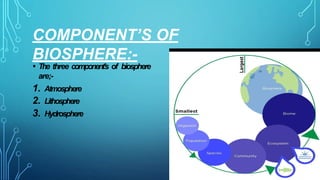 Presentation (1).pptxgguujijhgthjjjjjgytyy | PPTX