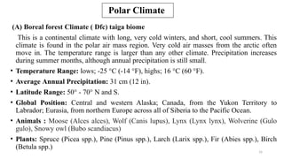 Dfc Climate World Climate Classification! Advanced Climatology | PPTX