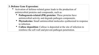 3. Defense Gene Expression:
 Activation of defense-related genes leads to the production of
antimicrobial proteins and compounds, such as:
 Pathogenesis-related (PR) proteins: These proteins have
antimicrobial activity and degrade pathogen components.
 Phytoalexins: Small antimicrobial molecules synthesized in response
to infection.
 Callose deposition: Callose is deposited at the site of infection to
reinforce the cell wall and prevent pathogen penetration.
 