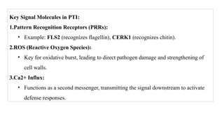 Key Signal Molecules in PTI:
1.Pattern Recognition Receptors (PRRs):
• Example: FLS2 (recognizes flagellin), CERK1 (recognizes chitin).
2.ROS (Reactive Oxygen Species):
• Key for oxidative burst, leading to direct pathogen damage and strengthening of
cell walls.
3.Ca2+ Influx:
• Functions as a second messenger, transmitting the signal downstream to activate
defense responses.
 