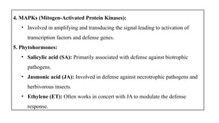 4. MAPKs (Mitogen-Activated Protein Kinases):
• Involved in amplifying and transducing the signal leading to activation of
transcription factors and defense genes.
5. Phytohormones:
• Salicylic acid (SA): Primarily associated with defense against biotrophic
pathogens.
• Jasmonic acid (JA): Involved in defense against necrotrophic pathogens and
herbivorous insects.
• Ethylene (ET): Often works in concert with JA to modulate the defense
response.
 