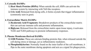 3. Cytosolic DAMPs:
1. Heat Shock Proteins (HSPs): When outside the cell, HSPs can activate the
immune system by interacting with Toll-like receptors.
2. Uric Acid: Released from dying cells, it forms crystals that trigger inflammation
(commonly seen in gout).
4. Extracellular Matrix DAMPs:
3. Hyaluronic Acid Fragments: Breakdown products of the extracellular matrix
that can activate immune cells and promote inflammation.
4. Biglycan: Released from the extracellular matrix upon tissue injury, it activates
TLR2 and TLR4 pathways to promote inflammatory responses.
5. Plasma Membrane-Derived DAMPs:
5. S100 Proteins: These are calcium-binding proteins that, when released outside the
cell during stress or damage, act as inflammatory mediators.
6. Phosphatidylserine: Normally found on the inner leaflet of the cell membrane, it
flips to the outer membrane during apoptosis and acts as a signal for phagocytosis.
 