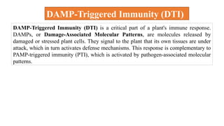 DAMP-Triggered Immunity (DTI) is a critical part of a plant's immune response.
DAMPs, or Damage-Associated Molecular Patterns, are molecules released by
damaged or stressed plant cells. They signal to the plant that its own tissues are under
attack, which in turn activates defense mechanisms. This response is complementary to
PAMP-triggered immunity (PTI), which is activated by pathogen-associated molecular
patterns.
DAMP-Triggered Immunity (DTI)
 