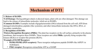 1. Release of DAMPs
•Cell Damage: During pathogen attack or physical injury, plant cells are often damaged. This damage can
lead to the release of intracellular molecules, which act as DAMPs.
•Common DAMPs: Examples include oligogalacturonides (OGs) released from the cell wall, ATP (from
damaged mitochondria), peptides (like systemin), and other intracellular molecules like DNA, RNA, or
secondary metabolites.
2. Recognition of DAMPs
•Pattern Recognition Receptors (PRRs): The plant has receptors on the cell surface, primarily in the plasma
membrane, that recognize these DAMPs. These receptors are called PRRs, typically being receptor-like
kinases (RLKs) or receptor-like proteins (RLPs).
•Example of DAMP Receptors:
• PEPR1/PEPR2 (PEP receptors): These recognize endogenous peptide DAMPs like AtPEP1 in
Arabidopsis.
• P2K1 receptor: Recognizes extracellular ATP as a DAMP.
Mechanism of DTI
 