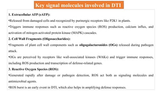 1. Extracellular ATP (eATP):
•Released from damaged cells and recognized by purinergic receptors like P2K1 in plants.
•Triggers immune responses such as reactive oxygen species (ROS) production, calcium influx, and
activation of mitogen-activated protein kinase (MAPK) cascades.
2. Cell Wall Fragments (Oligosaccharides):
•Fragments of plant cell wall components such as oligogalacturonides (OGs) released during pathogen
attack.
•OGs are perceived by receptors like wall-associated kinases (WAKs) and trigger immune responses,
including ROS production and transcription of defense-related genes.
3. Reactive Oxygen Species (ROS):
•Generated rapidly after damage or pathogen detection, ROS act both as signaling molecules and
antimicrobial agents.
•ROS burst is an early event in DTI, which also helps in amplifying defense responses.
Key signal molecules involved in DTI
 