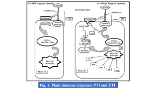 Fig. 1: Plant immune response: PTI and ETI
 