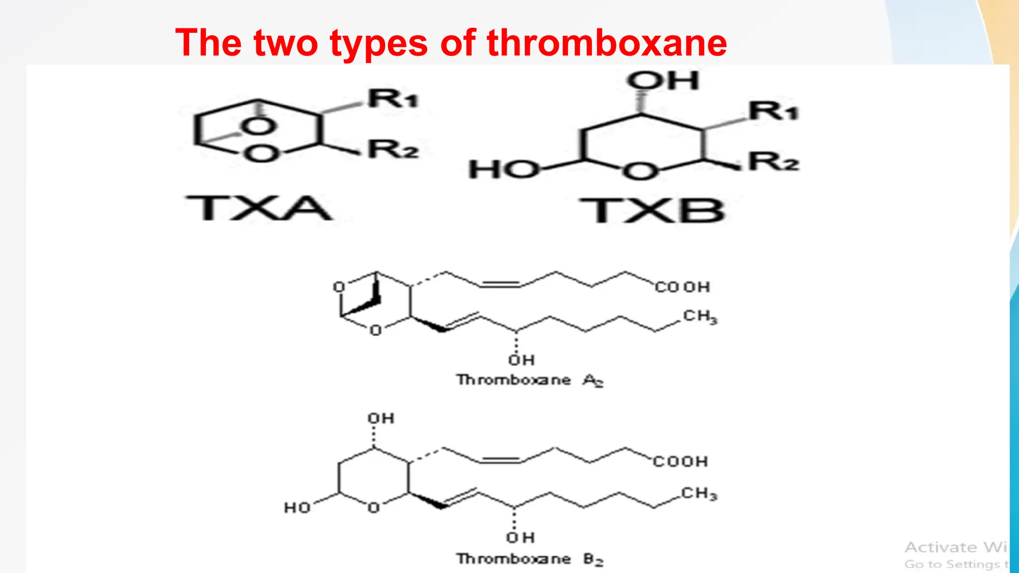 The two types of thromboxane
 