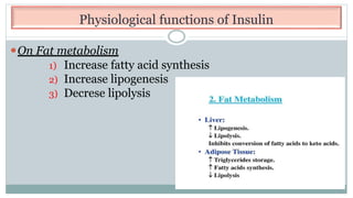 Physiological functions of Insulin
⚫On Fat metabolism
1) Increase fatty acid synthesis
2) Increase lipogenesis
3) Decrese lipolysis
 