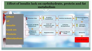 Effect of insulin lack on carbohydrate, protein and fat metabolism
Effect of insulin lack on carbohydrate, protein and fat
metabolism
 