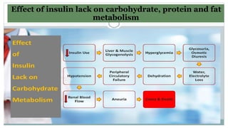 Effect of insulin lack on carbohydrate,protein and fat metabolism
Effect of insulin lack on carbohydrate, protein and fat
metabolism
 