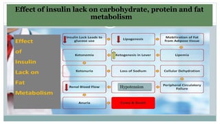 Effect of insulin lack on carbohydrate,protein and fat metabolism
Effect of insulin lack on carbohydrate, protein and fat
metabolism
Hypotension
 