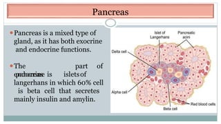 Pancreas
⚫Pancreas is a mixed type of
gland, as it has both exocrine
and endocrine functions.
⚫The
endocrine
part of
pancreas is isletsof
langerhans in which 60% cell
is beta cell that secretes
mainly insulin and amylin.
 
