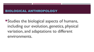 BIOLOGICAL ANTHROPOLOGY
Studies the biological aspects of humans,
including our evolution, genetics, physical
variation, and adaptations to different
environments.
 