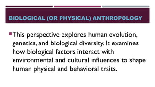BIOLOGICAL (OR PHYSICAL) ANTHROPOLOGY
This perspective explores human evolution,
genetics, and biological diversity. It examines
how biological factors interact with
environmental and cultural influences to shape
human physical and behavioral traits.
 