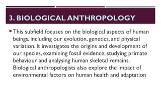 3. BIOLOGICAL ANTHROPOLOGY
 This subfield focuses on the biological aspects of human
beings, including our evolution, genetics, and physical
variation. It investigates the origins and development of
our species, examining fossil evidence, studying primate
behaviour and analysing human skeletal remains.
Biological anthropologists also explore the impact of
environmental factors on human health and adaptation
 