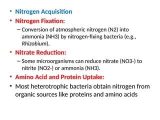 • Nitrogen Acquisition
• Nitrogen Fixation:
– Conversion of atmospheric nitrogen (N2) into
ammonia (NH3) by nitrogen-fixing bacteria (e.g.,
Rhizobium).
• Nitrate Reduction:
– Some microorganisms can reduce nitrate (NO3-) to
nitrite (NO2-) or ammonia (NH3).
• Amino Acid and Protein Uptake:
• Most heterotrophic bacteria obtain nitrogen from
organic sources like proteins and amino acids
 