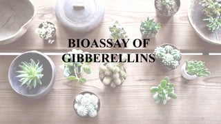 11
BIOASSAY OF
GIBBERELLINS
 