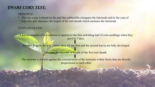 13
DWARF CORN TEST:
PRINCIPLE:
• This bio essay is based on the pad that gibberellin elongates the internode and in the case of
corn this also increases the length of the leaf sheath which encloses the internode
STEPS INVOLVED:
A known amount of test solution is applied to the first unfolding leaf of corn seedlings when they
are 6 to 7 days
Allowed to grow for 6 or 7 more days till the first and the second leaves are fully developed
Measure the increase in length of the first leaf sheath
The increase is plotted against the concentration of the hormone within limits that are directly
proportional to each other
 