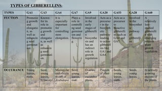 4
TYPES OF GIBBERELLINS:
TYPES GA1 GA3 GA4 GA7 GA9 GA20 GA53 GA28 GA60
FUCTION Promotin
g growth
and
elongatio
n, as
well as
enhancin
g seed
germinat
ion.
Known
for its
role in
promotin
g growth
and
elongatio
n, as well
as
enhancin
g seed
germinati
on.
It is
especially
important
for
controlling
stem
elongation.
Plays a
role in
controlli
ng seed
germinat
ion and
flowerin
g.
Involved
in the
early
stages of
gibberelli
n
biosynthe
sis and
has an
indirect
role in
growth
regulation
.
Acts as a
precurso
r in the
biosynth
etic
pathway
leading
to active
gibberell
ins like
GA1 and
GA4.
Acts as a
precursor
to
bioactive
gibberelli
ns such as
GA4 and
GA7.
Involved
in the
biosynthet
ic
pathway
of
gibberelli
ns.
A
relatively
less-
studied
gibberelli
n with
emerging
roles in
plant
growth
regulation
.
OCCURANCE Young
leaves,
roots.
Seed,
young
leaves,
hypocotyl
Micropylar
endotheciu
m cell of
Arabidopsi
s
Seed,
young
leaves,
root.
Ovaries
of
cucumber
plants
Plastids
of plant
cells.
Seeds,
young
leaves,
roots.
Seeds,
young
leaves
In actively
growing
regions of
the plants.
 