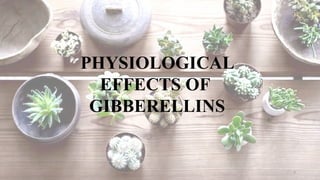6
PHYSIOLOGICAL
EFFECTS OF
GIBBERELLINS
 