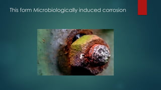 This form Microbiologically induced corrosion
 